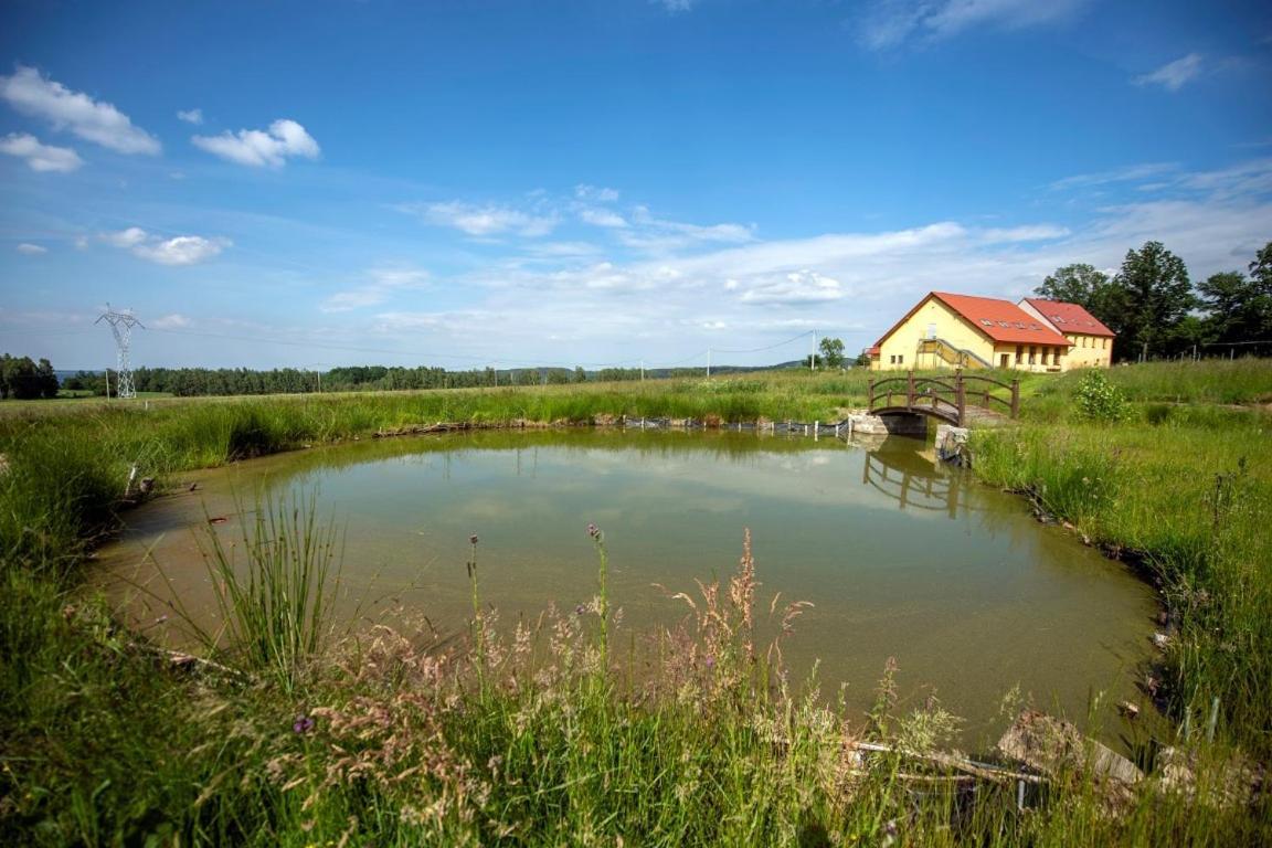 Apartament Dom Na Lesnej Gorze Leśna Zewnętrze zdjęcie